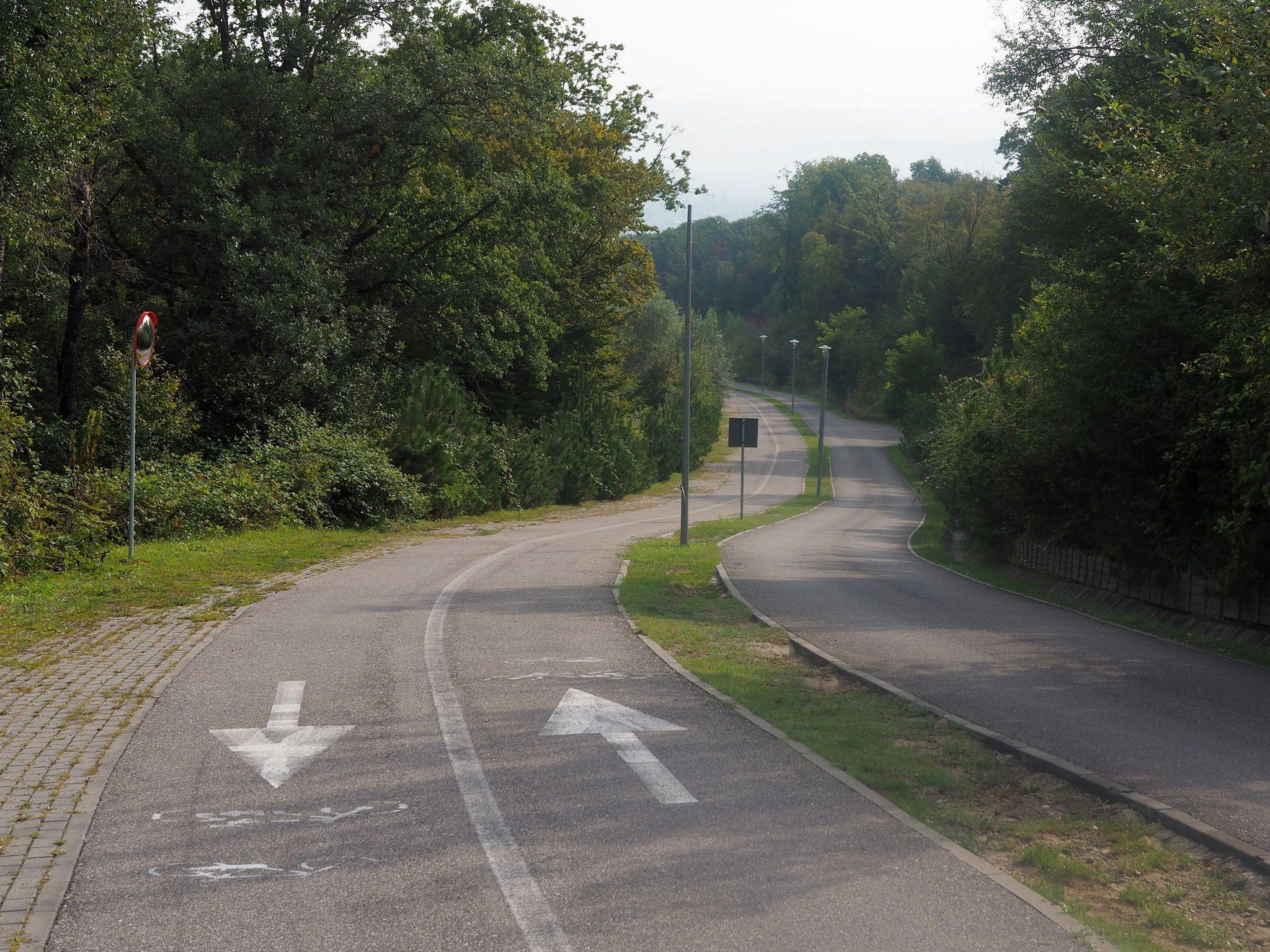 Zona verde cu pistă de biciclete prin pădure, spre pădure.