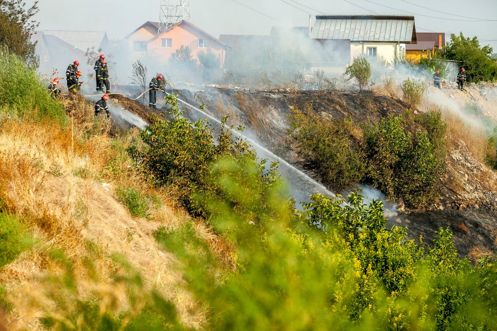 Echipaje de pompieri intervin pentru stingerea unui incendiu de vegetație uscată care a izbucnit în Pantelimon, pe Șoseaua Viilor, pe o suprafață de aproximativ 20.000 de metri pătrați, joi, 11 august 2016. Ovidiu Micsik / Inquam Photos