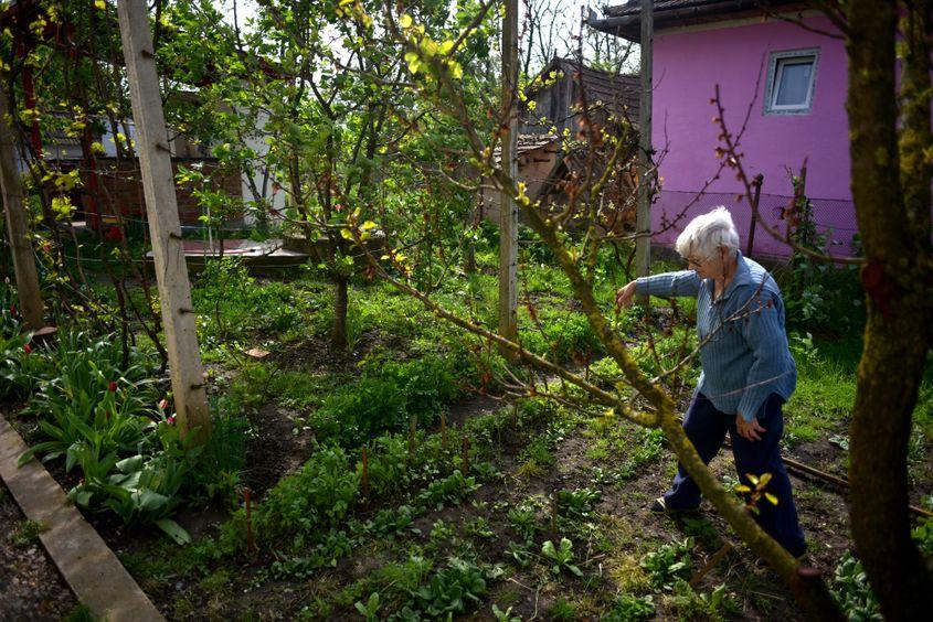 Mama Evei Nagy arată partea din curte care va fi pierdută la expropriere.