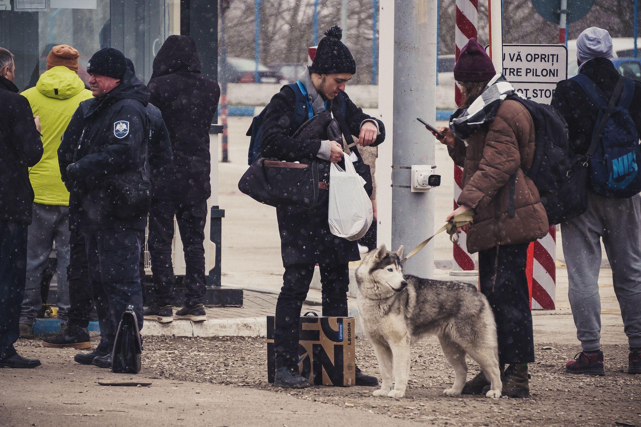 <meta charset="utf-8"> Cățel refugiat în Palanca, punct de trecere a frontierei între Ucraina și Republica Moldova, <meta charset="utf-8">martie, 2022. Foto: Ioana Epure