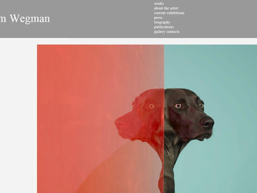 Sursa foto: williamwegman.com