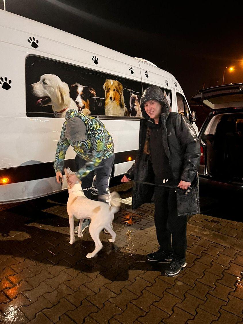 Zita cu Ioji în noaptea în care câinele a plecat înspre Marea Britanie. Foto: arhiva personală