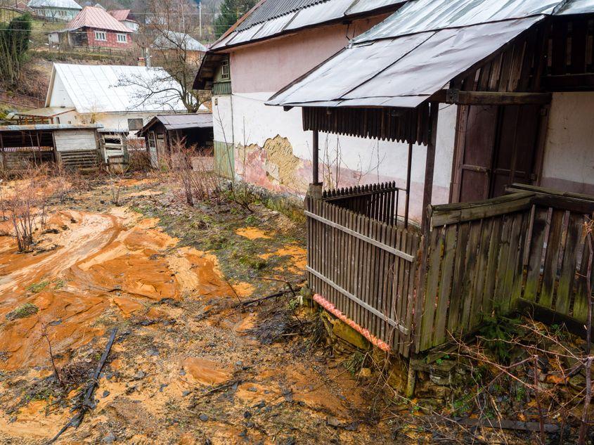 Mâlul toxic a pătruns în curțile oamenilor.