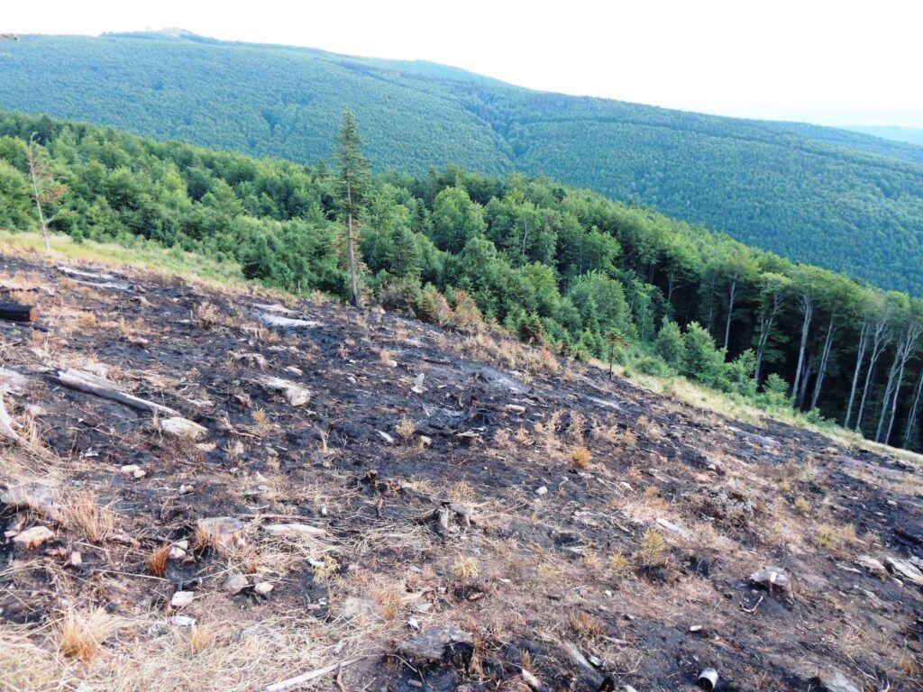 August 2017. Incendiu în Munții Semenic