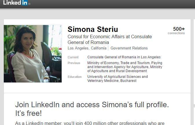 Profilul de pe LinkedIn al Simonei Steriu.
