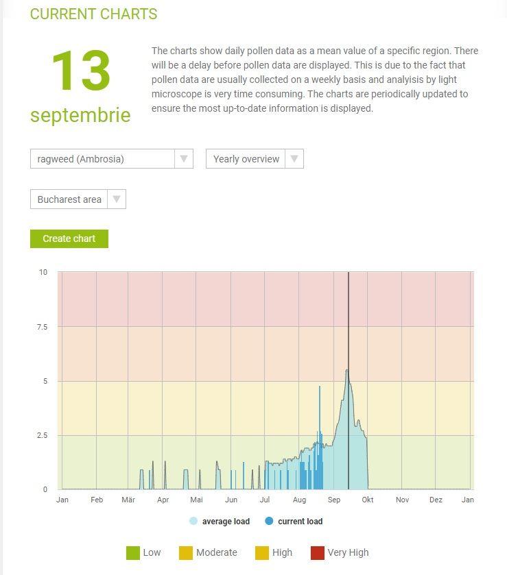 În septembrie par să se înregistreze cele mai mari cantități de polen de ambrozie din an