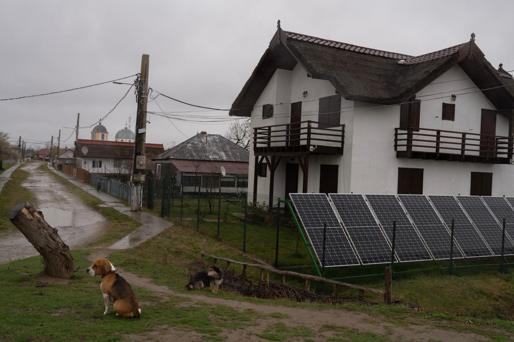 One of the main streets in Sfântu Gheorghe. The mayor, Valentin Sidorencu, once wanted to build a park with photovoltaic panels on a pasture, some 7 km away from the village, where there was nothing. The authorities blocked this on the grounds that it would change the image of the Danube Delta. But they allowed the panels to be placed on houses. Photo: Andreea Câmpeanu