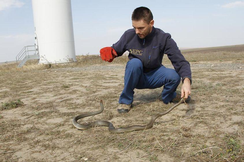 Tiberiu Sahlean a prins de coadă șarpele rău. Foto: Arhiva personală