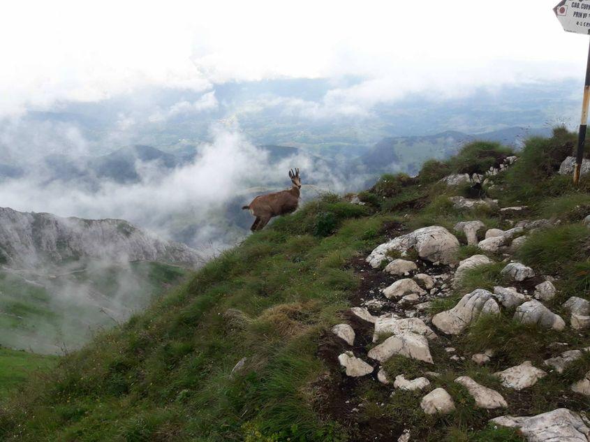 Imagine surprinsă de Andrei în masivul Piatra Craiului. 