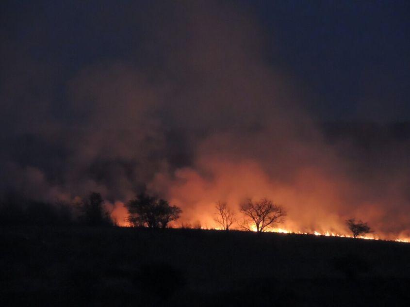 Incendiu de vegetație din martie 2017, Carașova, Caraș-Severin
