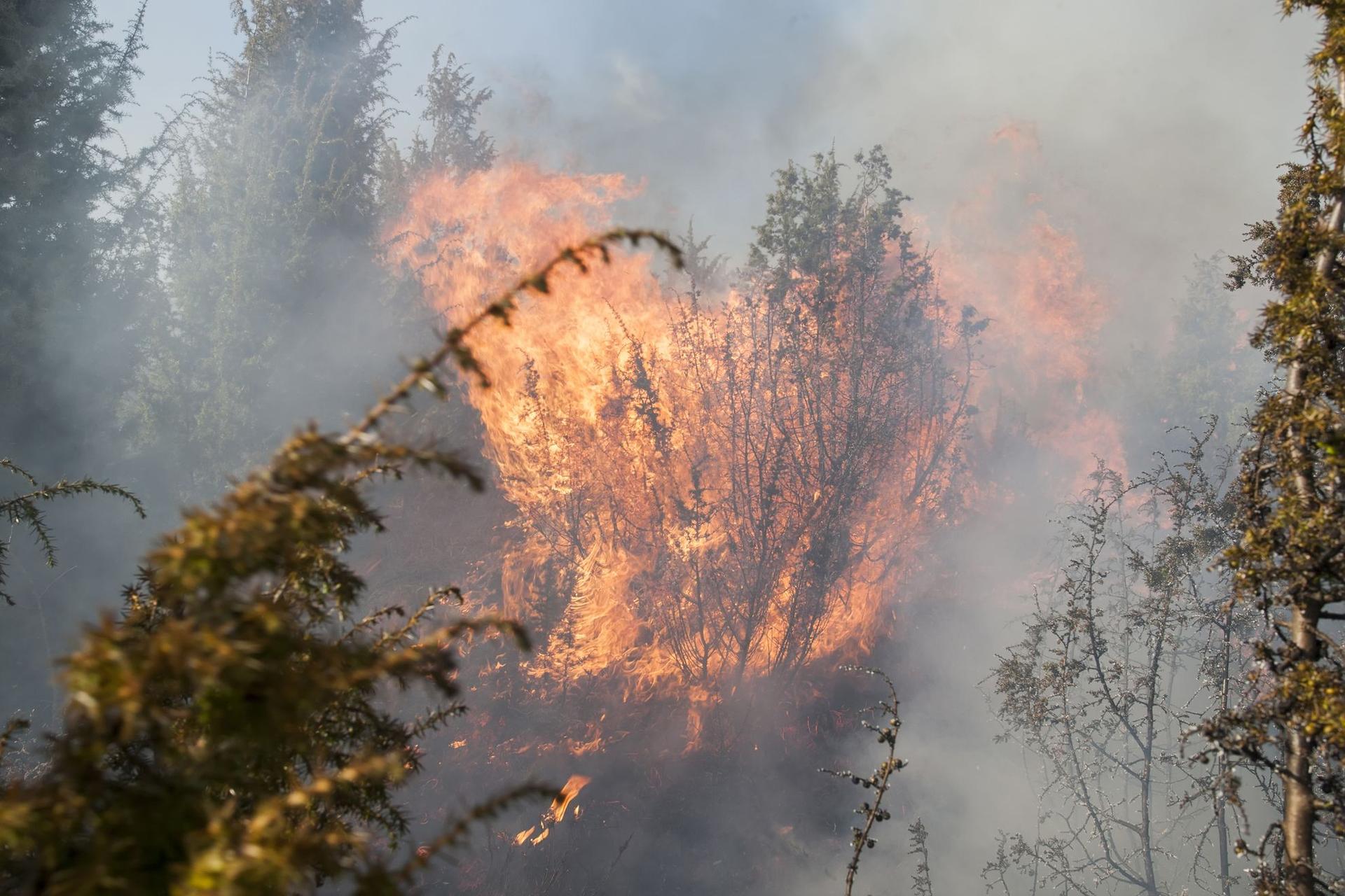 Incendiu de pădure în Apuseni. Foto © Igorartmd | Dreamstime.com