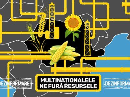 "Multinaționalele ne distrug resursele". O poveste cu propagandă care nu se mai termină