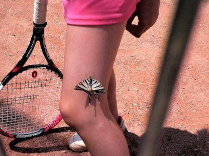 Efectul fluturelui navigator în tenisul din Drumul Taberei