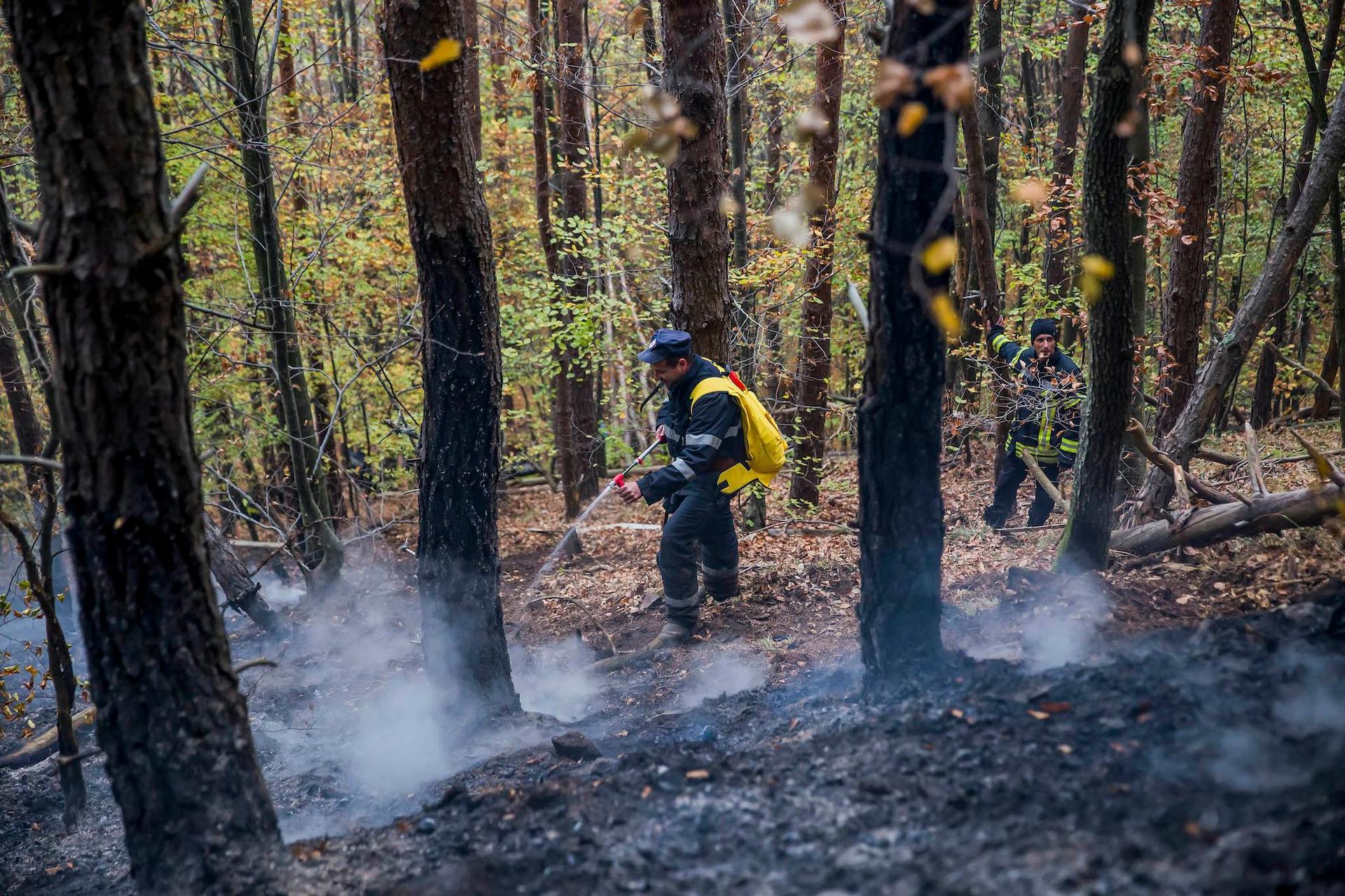 <em>Foto: Incendiu în zona pădurea Măgura, la 15 km de Sibiu, octombrie 2019. Inquam Photos / Ovidiu Matiu</em>