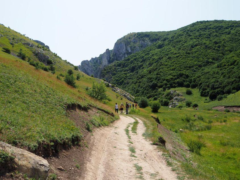 Plimbarea în aer liber, mersul la munte sau la țară sunt leacuri pentru alienarea din mediul virtual.