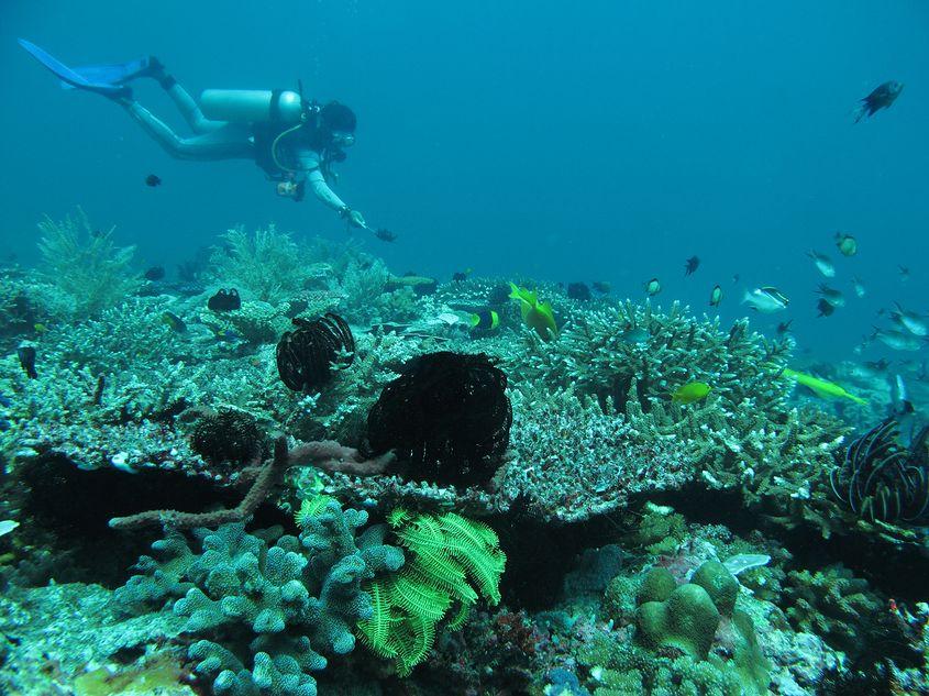 Deep Turbo, la nord de Gili Trawangan.