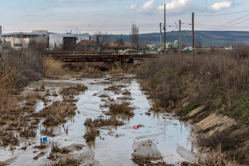 Pârâul Zăpodie, afluent al Someșului Mic, purtând apa toxică de la rampa de gunoi. Foto: Raul Ștef