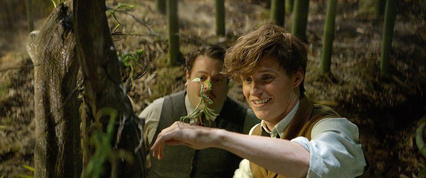 Eddie Redmayne şi Dan Fogler, într-o scenă din film.