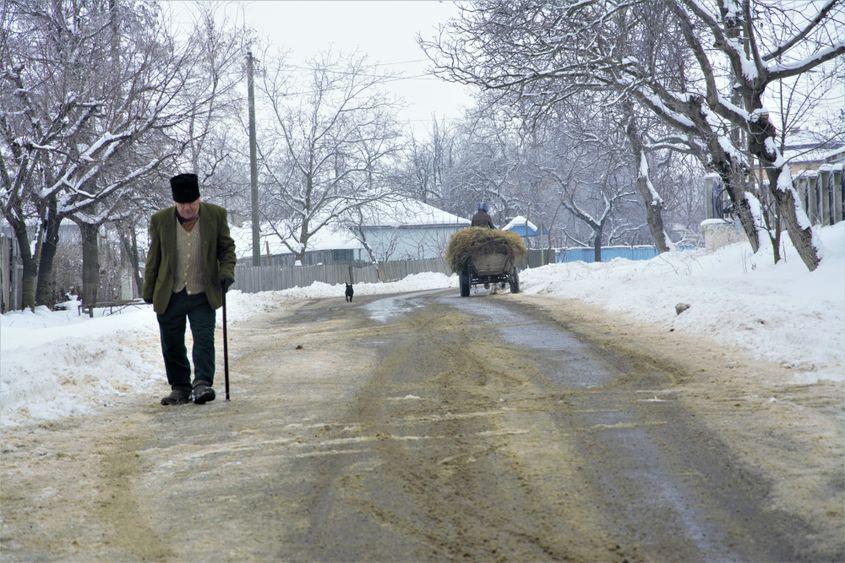 Iarna asta, gerul a omorât șase oameni în județul Botoșani.