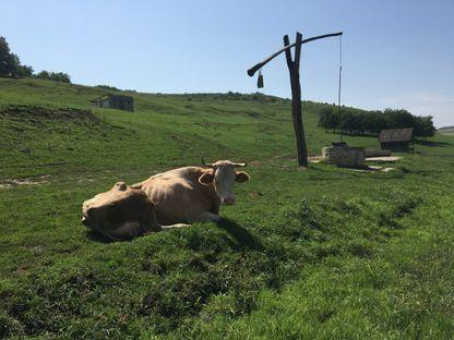 (1) România moare. Sate de hârtie unde bugetul se cheltuie exclusiv după voia primarilor