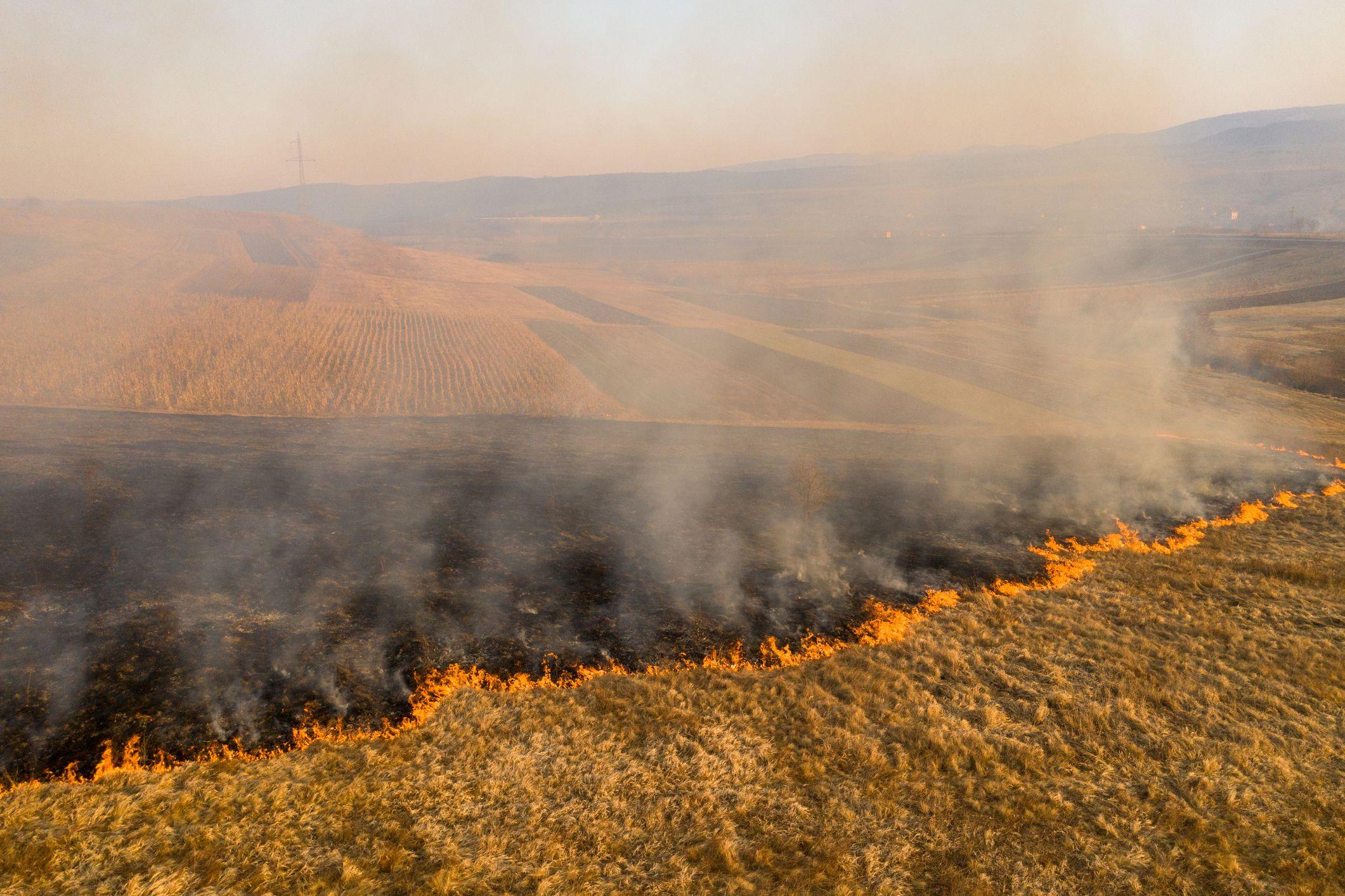 În România, miriștile ard anual necontrolat, iar incendiile se extind în păduri. Foto © Salajean | Dreamstime.com 