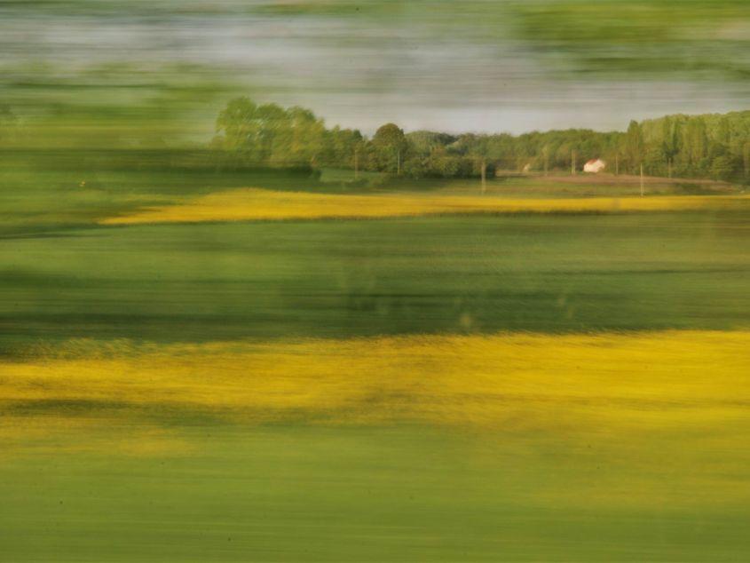 Peisaj la Barbizon, fotografie din goana mașinii. Foto: Lucian Muntean