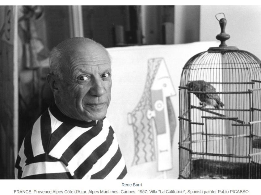 Picasso, fotografiat de Burri în 1957. Printscreen de pe magnumphotos.com