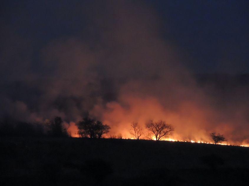 Incendiu de vegetație din martie 2017, Carașova, Caraș-Severin