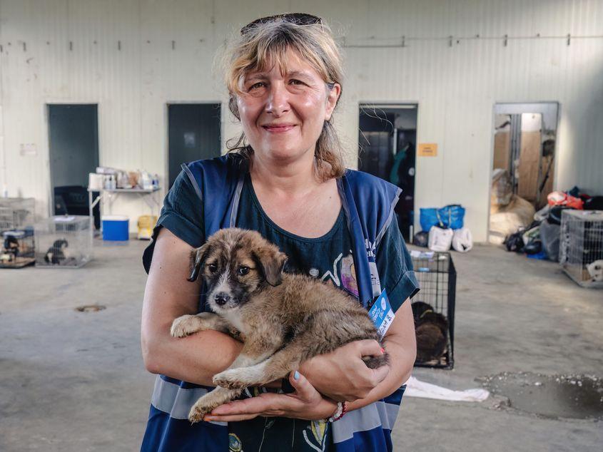 Voluntarii și medicii de la TAC.social descind periodic în Pata Rât pentru a steriliza câinii comunitari din zonă. Foto: Loránd Vakarcs
