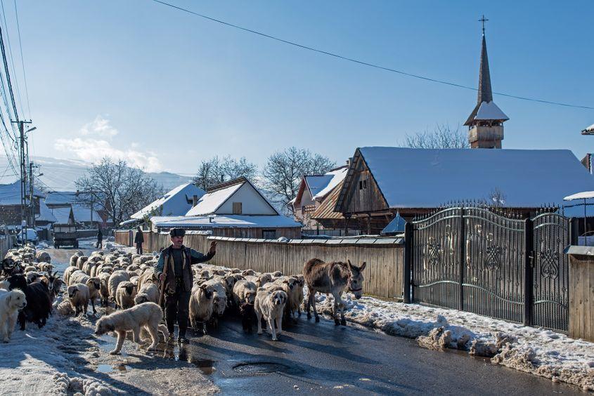 Foto: Raul Ştef