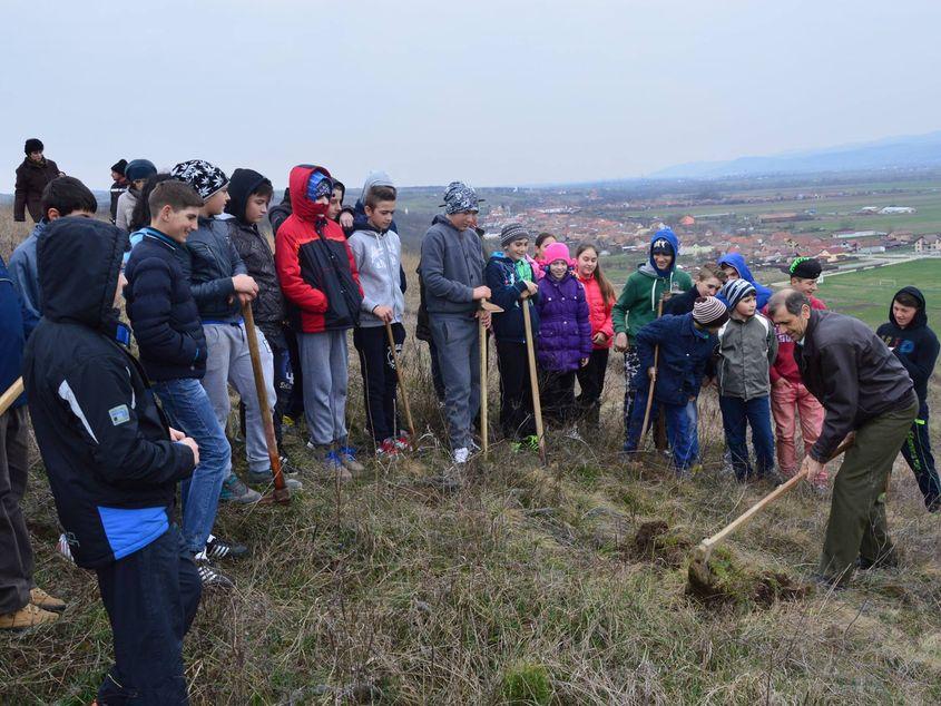 Acțiune de împădurire realizată cu voluntari în comuna Ciugud, de Luna Pădurii FOTO: Pagina de Facebook a Primăriei Ciugud