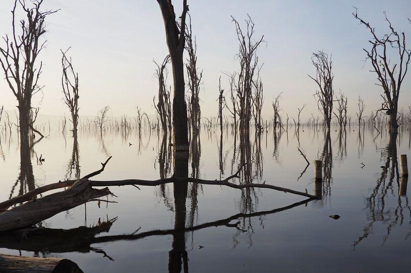 Lacul de la Nakuru, Kenya.