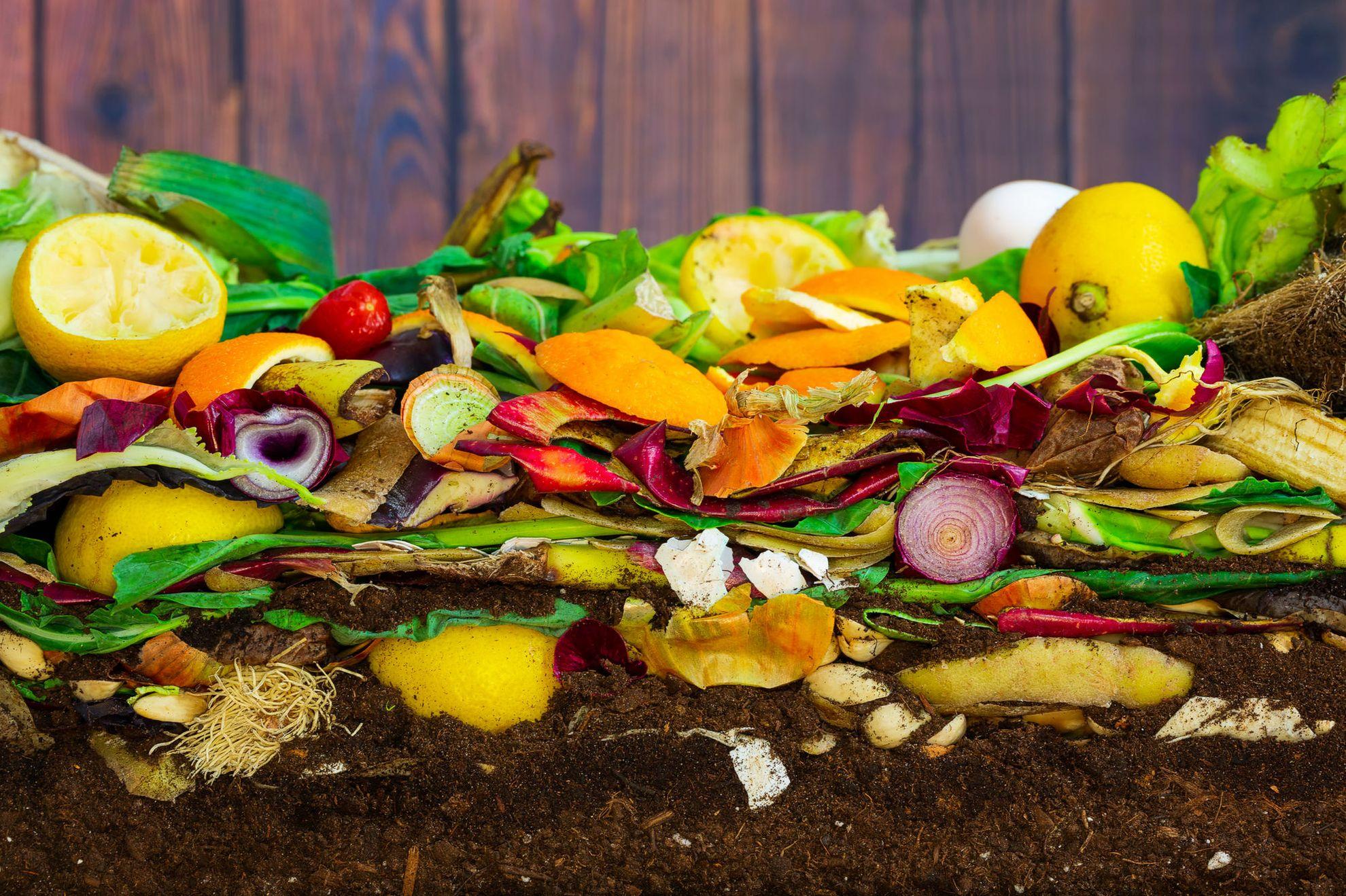 Transformarea gunoiului menajer în compost permite reutilizarea acestei resurse. Foto: Soil Paparazzi, Dreamstime