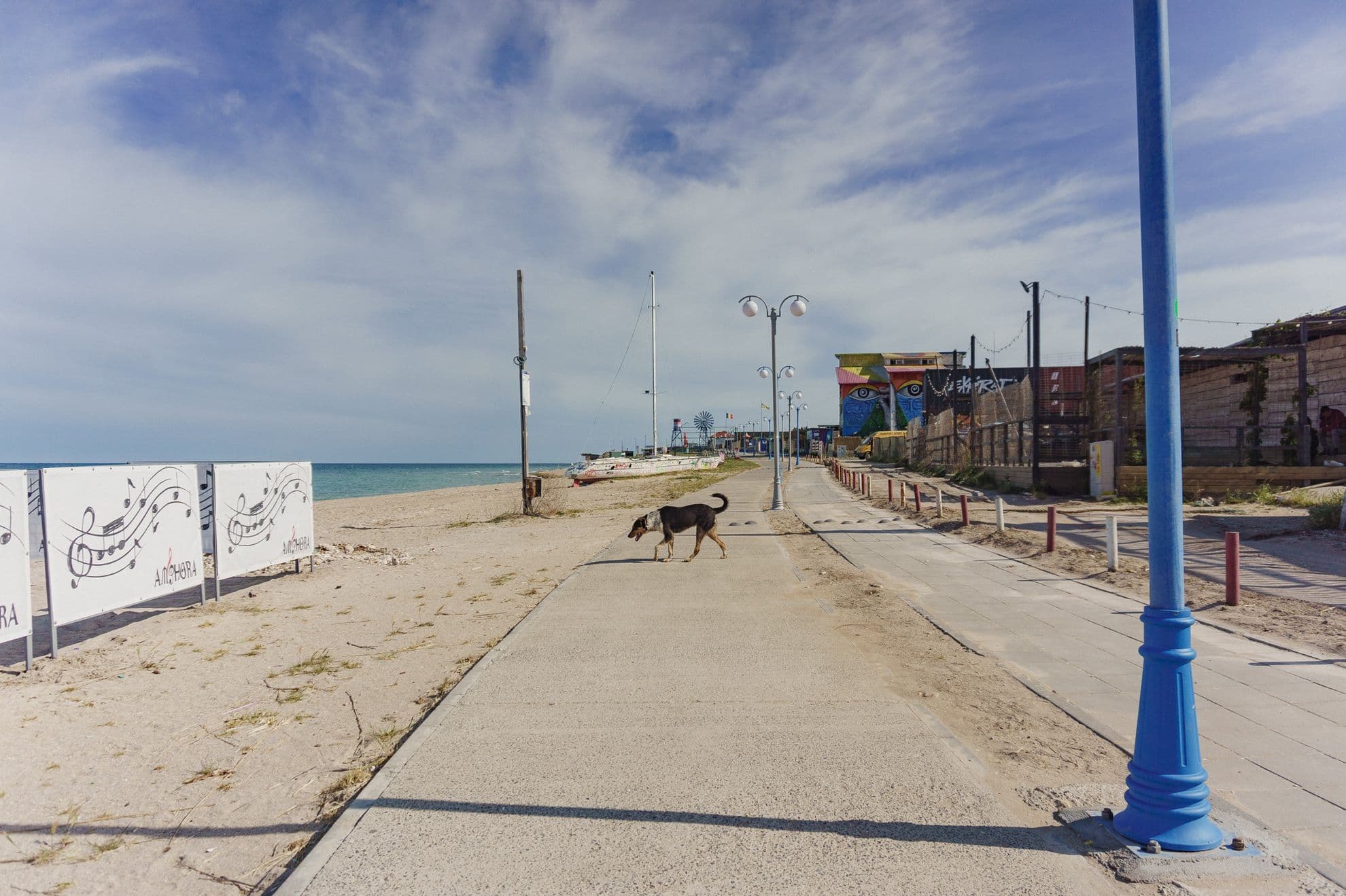 Câinii fără stăpân par să fie singurii locuitori permanenți ai litoralului românesc.