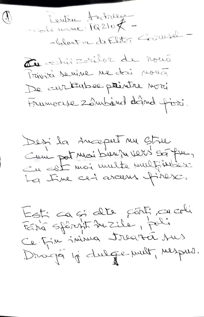 <em>O parte din poezia domnului Pitorac</em>