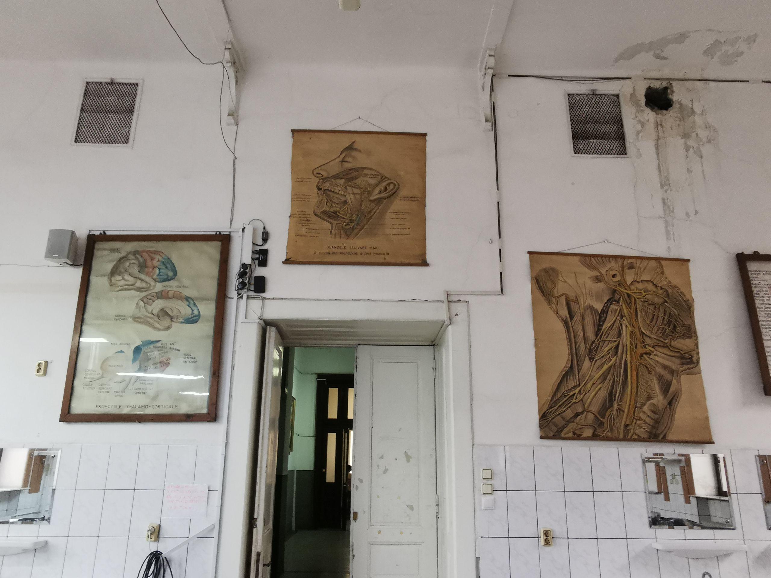Sala de anatomie Nicolae Kretzulescu Foto: Miriam Țepeș-Handaric
