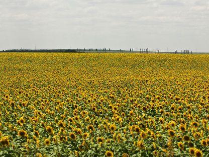 Pământurile (V): brațele pline ale Dunării