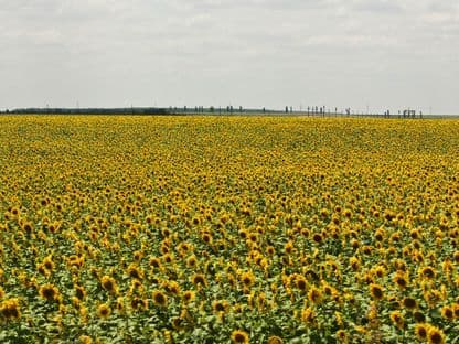 Pământurile (V): brațele pline ale Dunării
