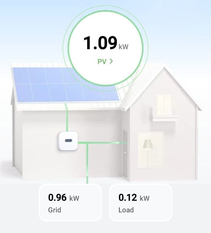 On an August day, Rodica's panels produce more than 1 kWh, of which more than three-quarters goes into the grid. PHOTO: Rodica Chirculescu