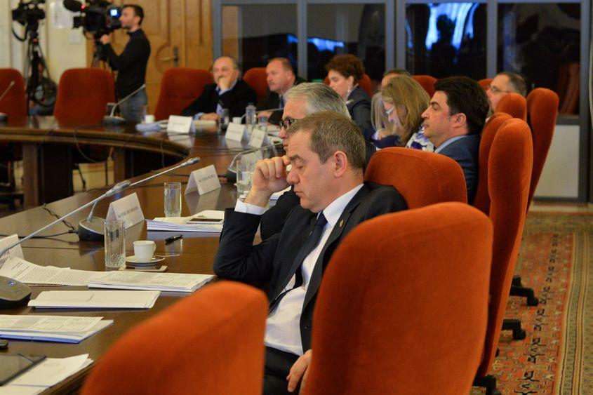 Atmosfera din comisiile reunite, în timpul audierilor. Foto: Lucian Muntean