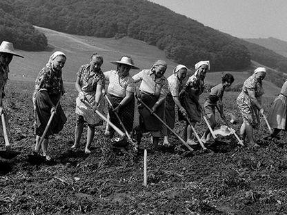 Odă Femeii. Mamă eroină, muncitoare, activistă (în stil comunist)