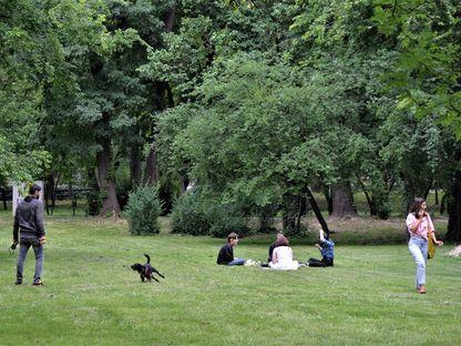 Parcurile istorice și spațiile verzi dintre blocuri riscă să devină suprafețe construibile în urma unor modificări legislative realizate cu girul PSD și PNL