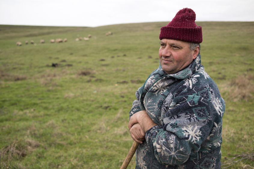 În timpul liber, Florin Maier își păzește oile.