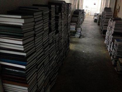 Munți de doctorate, pe holurile de la Ministerul Educației