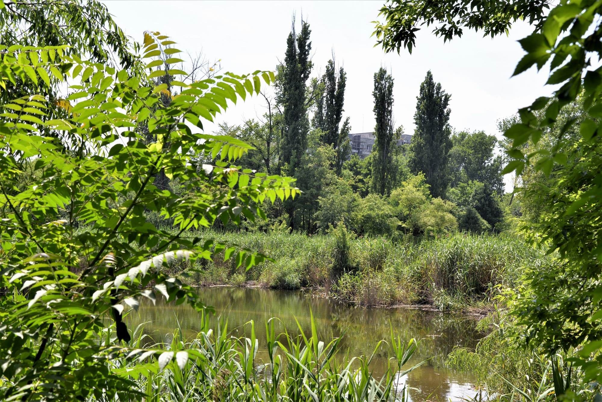 Parcul Sticlăriei din Sector 2, București. Foto Lucian Muntean
