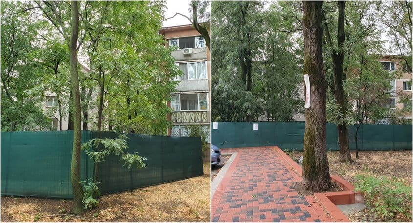 Cum sunt afectate grădinile și copacii de pavele