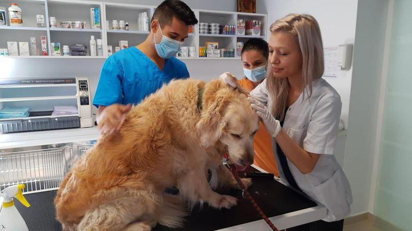 Foto: Charlie's Clinic Vet