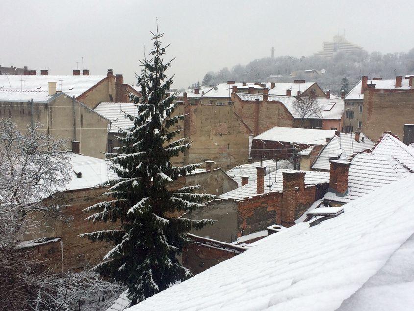 Toate fotografiile aparțin autorului