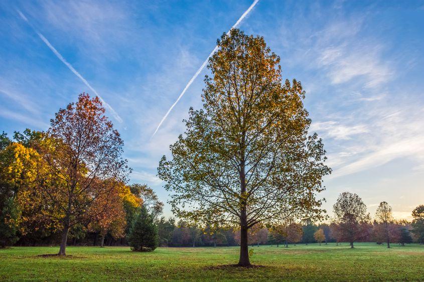 Dârele albe lăsate de avioane au dat naștere, în ultima vreme, unor teorii ale conspirației. Foto © Andrew Kazmierski | Dreamstime.com
