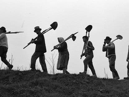 Munca patriotică voluntară... obligatorie